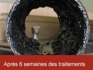 Traitement bactérien