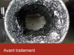 Traitement bactérien