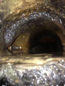 inspection-tv-canalisation2